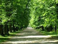 park moszna